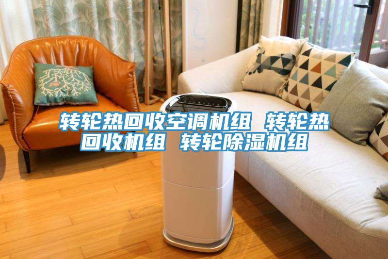 转轮热回收空调机组 转轮热回收机组 转轮91免费网站在线观看组