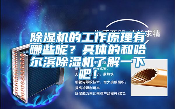 91免费网站在线观看的工作原理有哪些呢？具体的和哈尔滨91免费网站在线观看了解一下吧！