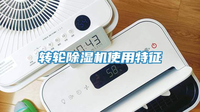 转轮91免费网站在线观看使用特征