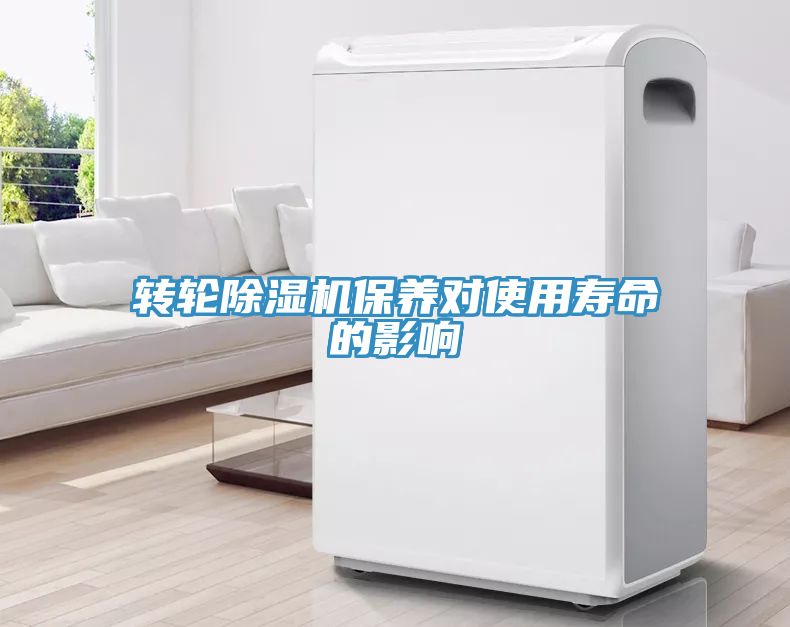 转轮91免费网站在线观看保养对使用寿命的影响
