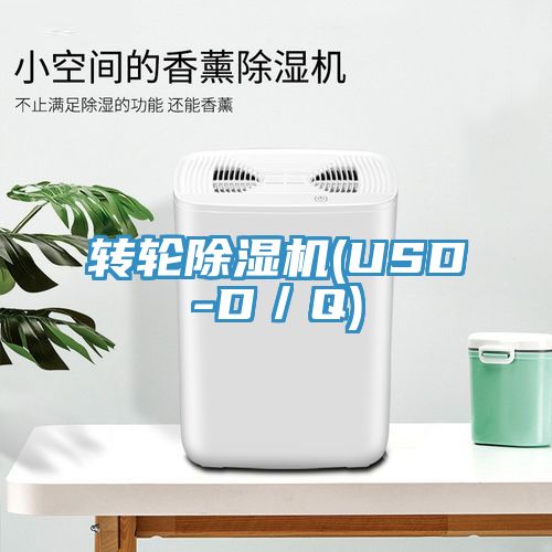 转轮91免费网站在线观看(USD-D／Q)