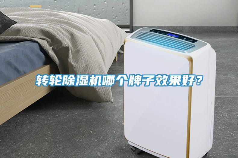 转轮91免费网站在线观看哪个牌子效果好？