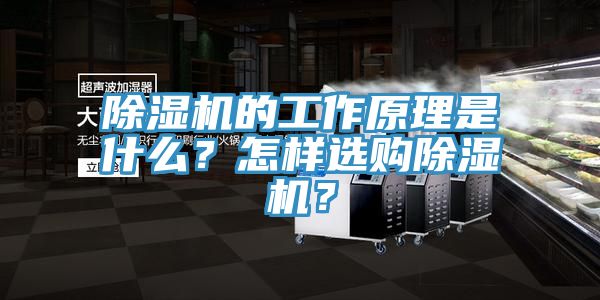 91免费网站在线观看的工作原理是什么？怎样选购91免费网站在线观看？