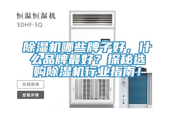 91免费网站在线观看哪些牌子好，什么品牌最好？探秘选购91免费网站在线观看行业指南！