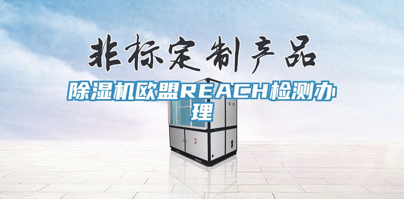 91免费网站在线观看欧盟REACH检测办理