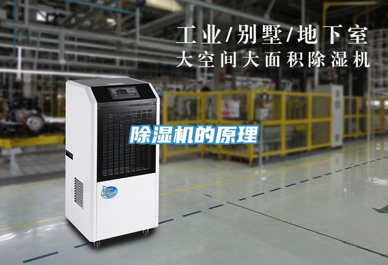 91免费网站在线观看的原理