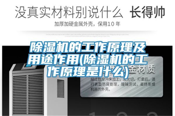 91免费网站在线观看的工作原理及用途作用(91免费网站在线观看的工作原理是什么)