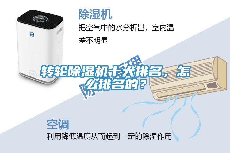 转轮91免费网站在线观看十大排名，怎么排名的？