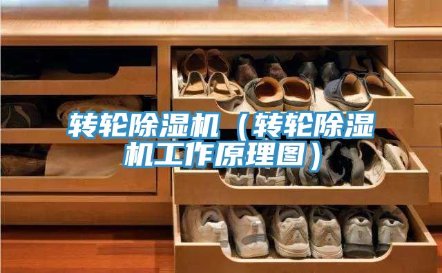 转轮91免费网站在线观看（转轮91免费网站在线观看工作原理图）