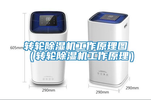 转轮91免费网站在线观看工作原理图（转轮91免费网站在线观看工作原理）