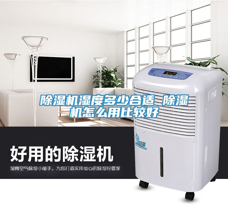 91免费网站在线观看湿度多少合适 91免费网站在线观看怎么用比较好