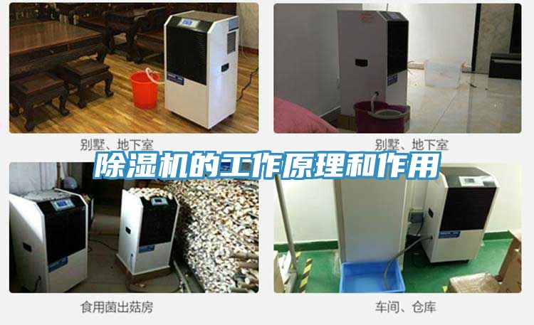 91免费网站在线观看的工作原理和作用