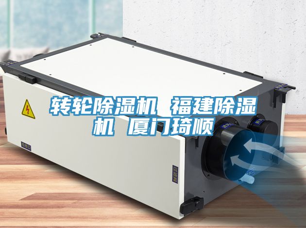 转轮91免费网站在线观看 福建91免费网站在线观看 厦门琦顺