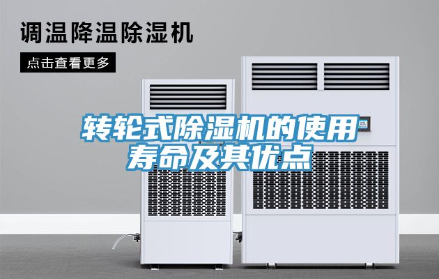 转轮式91免费网站在线观看的使用寿命及其优点