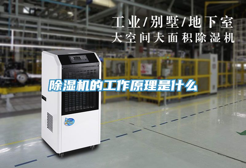 91免费网站在线观看的工作原理是什么