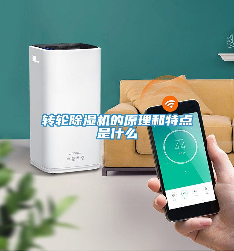 转轮91免费网站在线观看的原理和特点是什么