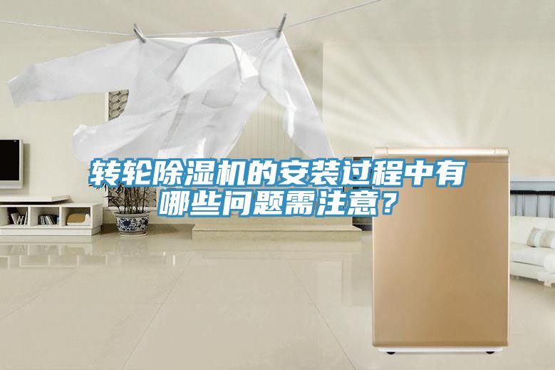 转轮91免费网站在线观看的安装过程中有哪些问题需注意？