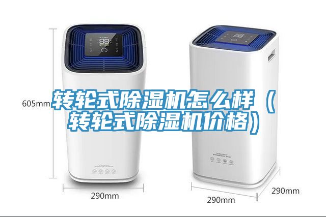 转轮式91免费网站在线观看怎么样（转轮式91免费网站在线观看价格）