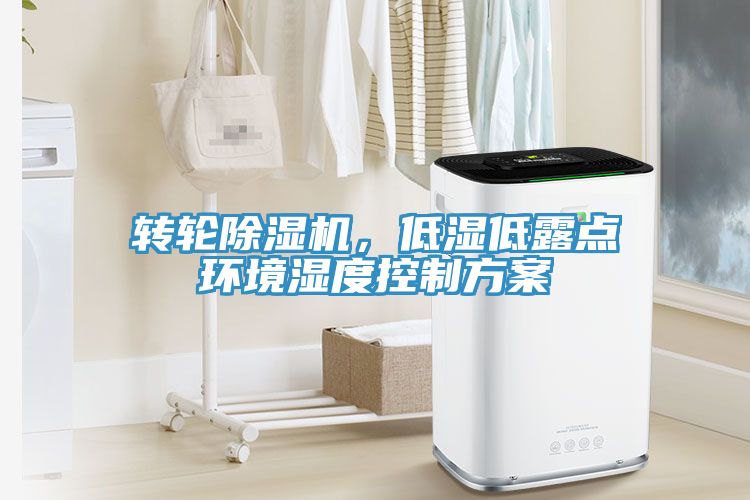 转轮91免费网站在线观看，低湿低露点环境湿度控制方案