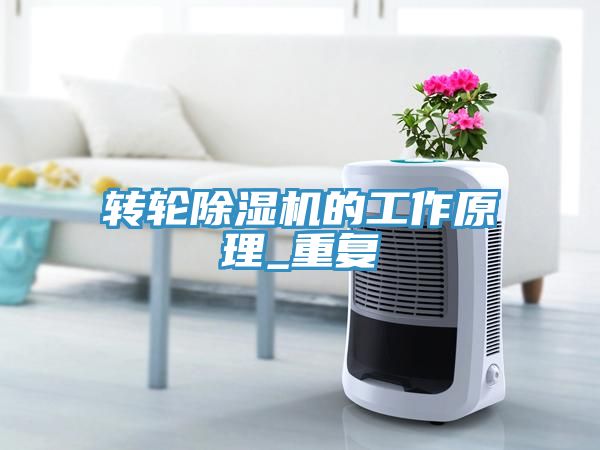 转轮91免费网站在线观看的工作原理_重复