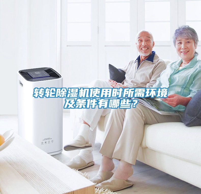 转轮91免费网站在线观看使用时所需环境及条件有哪些？