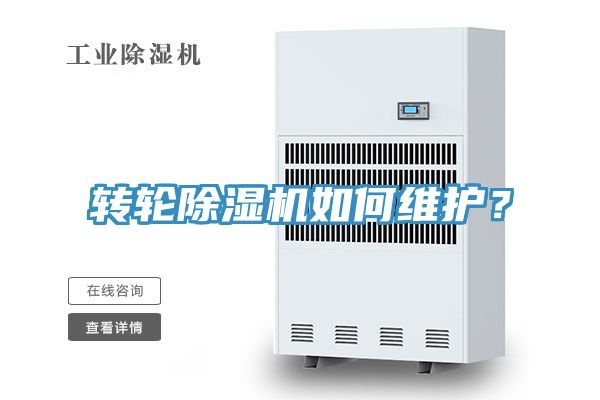 转轮91免费网站在线观看如何维护？