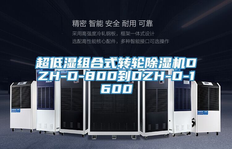 超低湿组合式转轮91免费网站在线观看DZH-D-800到DZH-D-1600
