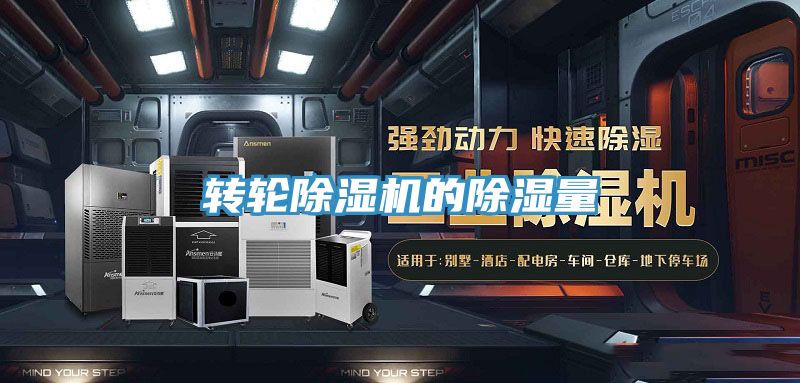 转轮91免费网站在线观看的除湿量