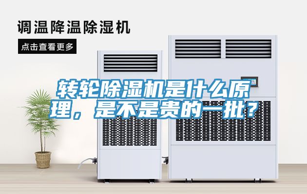 转轮91免费网站在线观看是什么原理，是不是贵的一批？