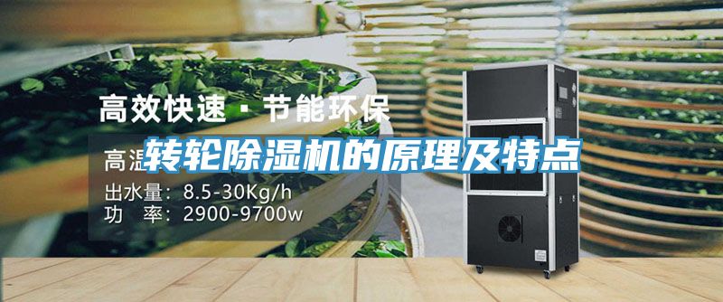 转轮91免费网站在线观看的原理及特点