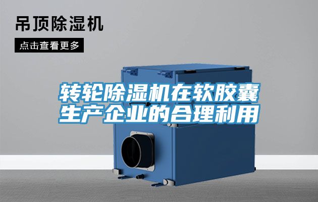 转轮91免费网站在线观看在软胶囊生产企业的合理利用