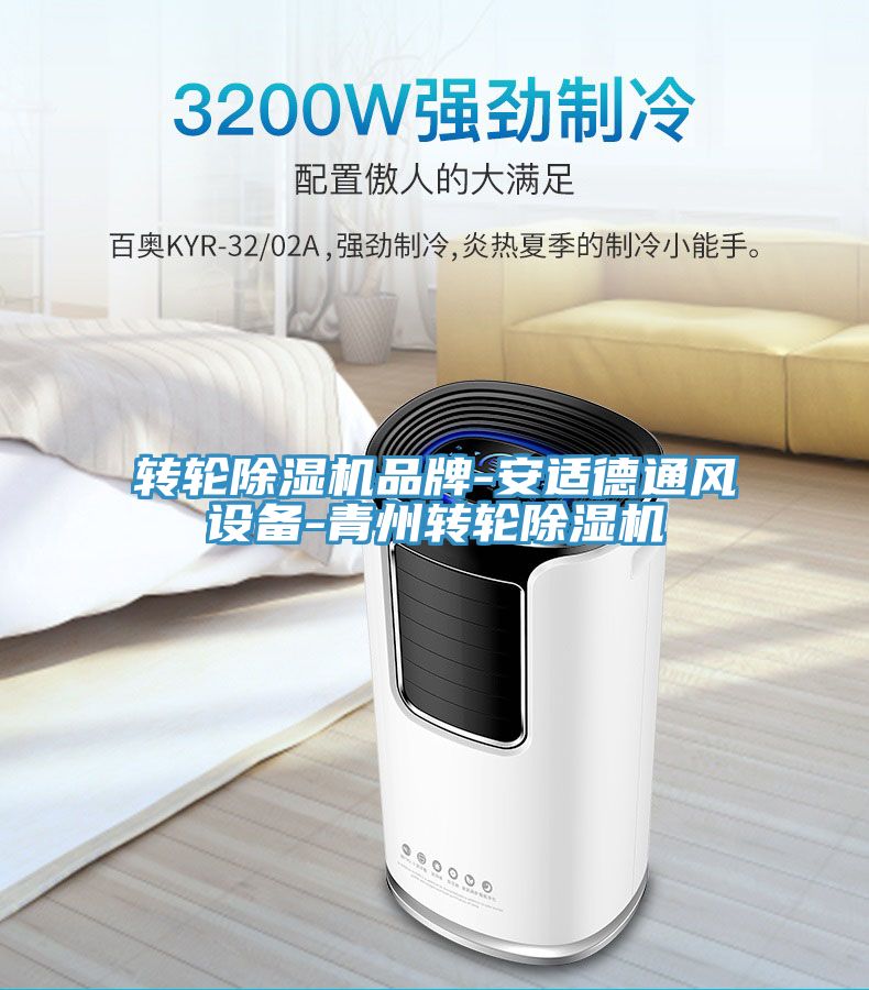 转轮91免费网站在线观看品牌-安适德通风设备-青州转轮91免费网站在线观看