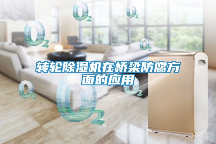 转轮91免费网站在线观看在桥梁防腐方面的应用