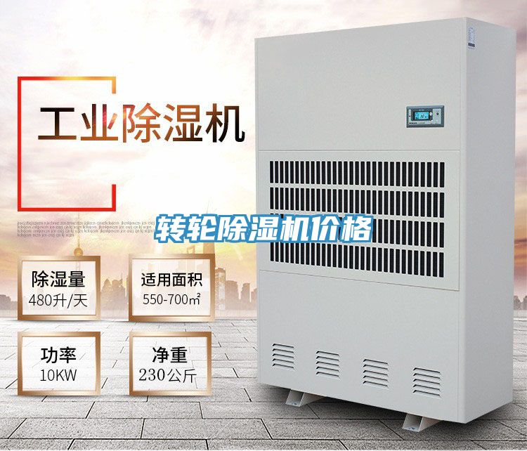 转轮91免费网站在线观看价格