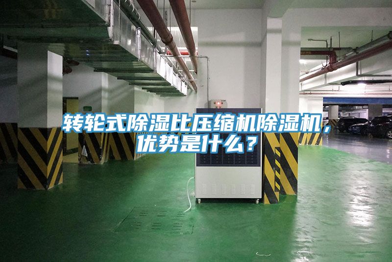 转轮式除湿比压缩机91免费网站在线观看，优势是什么？