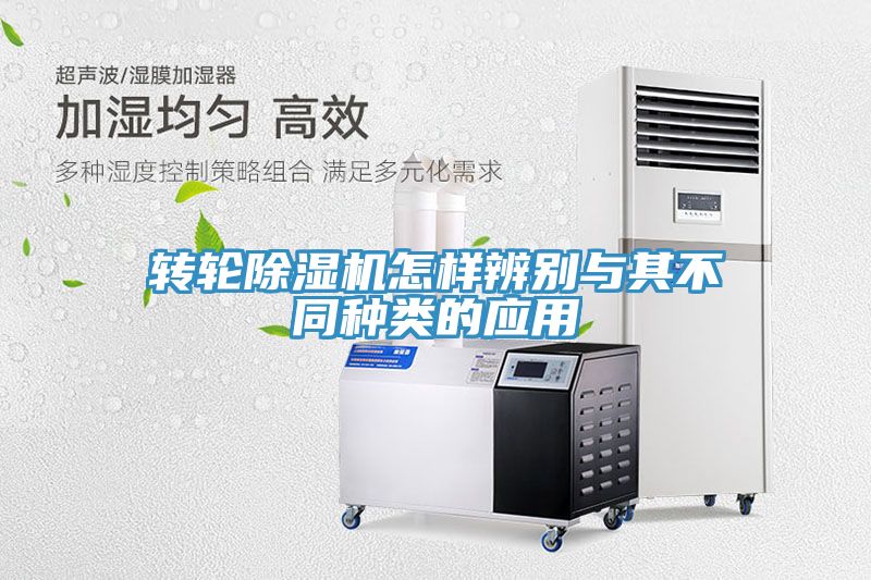 转轮91免费网站在线观看怎样辨别与其不同种类的应用