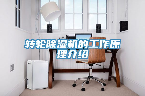 转轮91免费网站在线观看的工作原理介绍