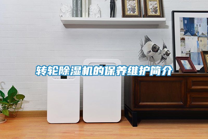 转轮91免费网站在线观看的保养维护简介