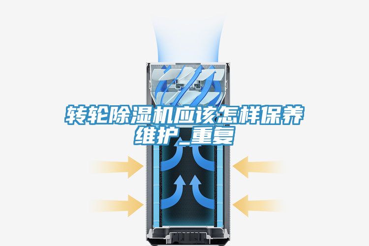 转轮91免费网站在线观看应该怎样保养维护_重复
