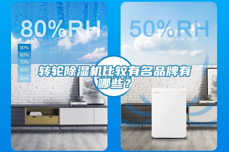 转轮91免费网站在线观看比较有名品牌有哪些？