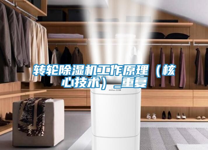转轮91免费网站在线观看工作原理（核心技术）_重复