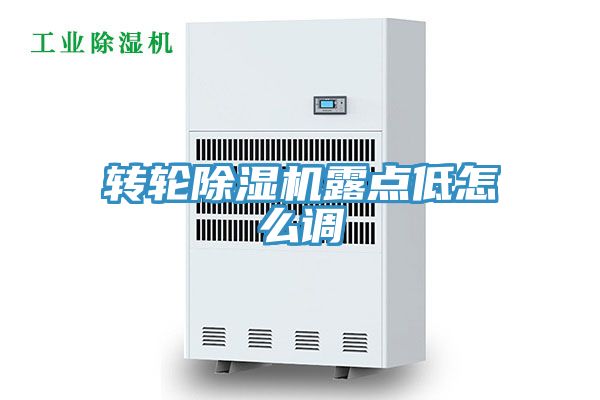 转轮91免费网站在线观看露点低怎么调