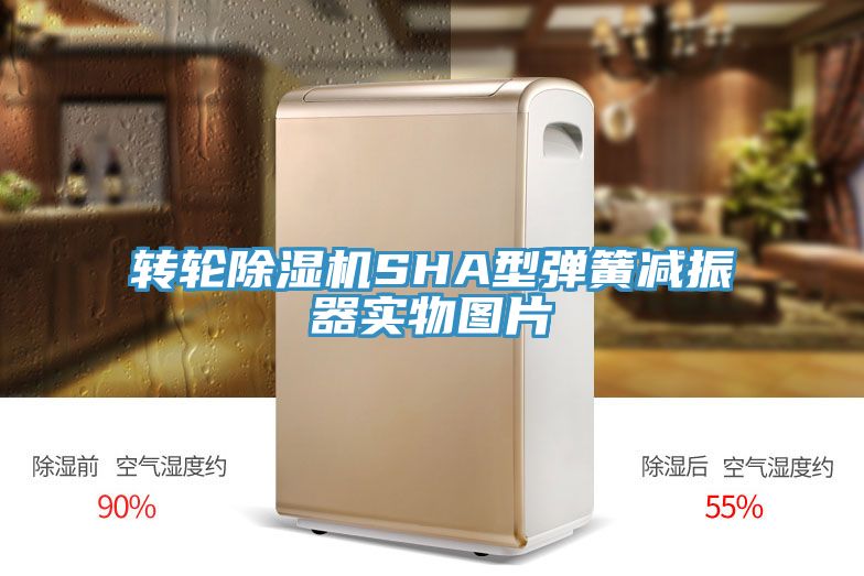 转轮91免费网站在线观看SHA型弹簧减振器实物图片