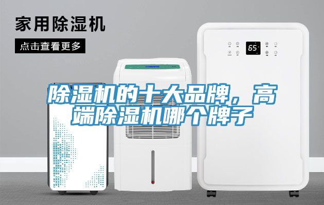 91免费网站在线观看的十大品牌，高端91免费网站在线观看哪个牌子