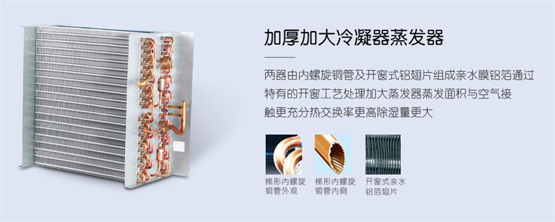 吊顶91免费网站在线观看3