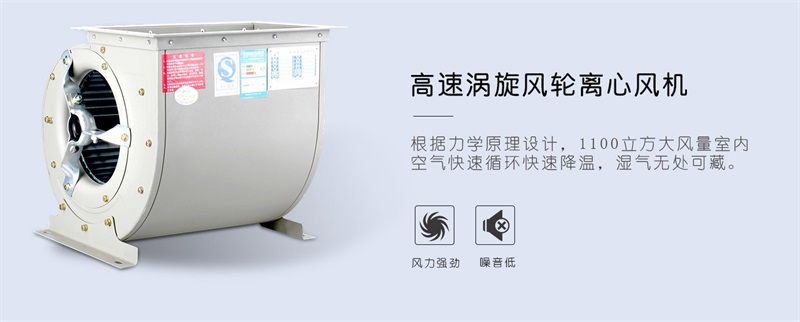 吊顶91免费网站在线观看4