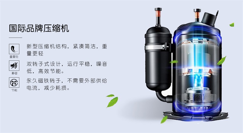 吊顶91免费网站在线观看2